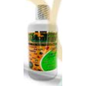Moringa Forte — 32 fl. oz